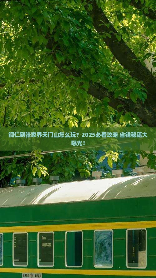 铜仁到张家界天门山旅行社