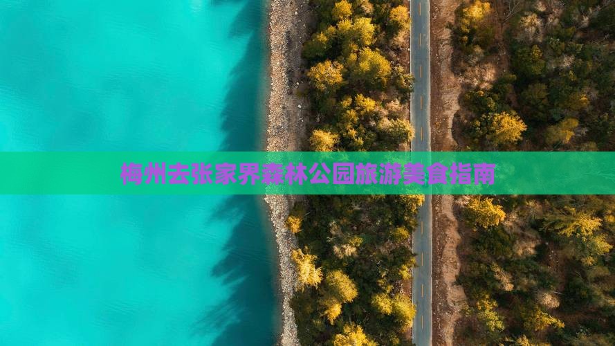 梅州去张家界森林公园旅游小吃
