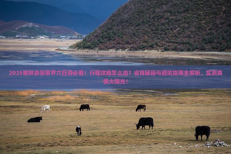 榆林去张家界六日游