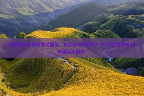醴陵去张家界芙蓉镇景点