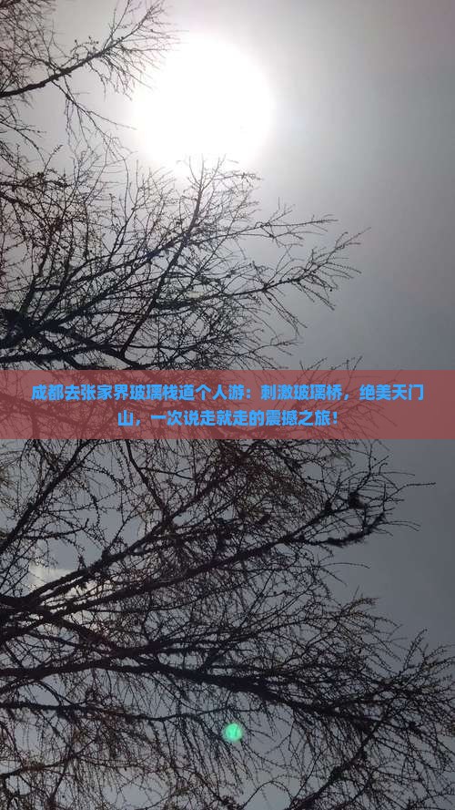 成都去张家界玻璃栈道个人游