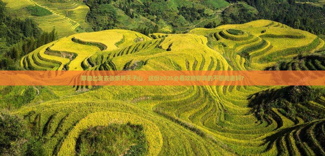 那曲去张家界天子山大型旅游团