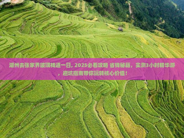 湖州去张家界玻璃栈道一日