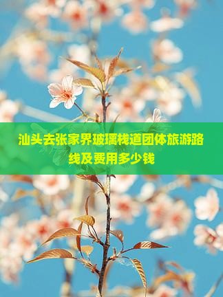 汕头去张家界玻璃栈道团体旅游