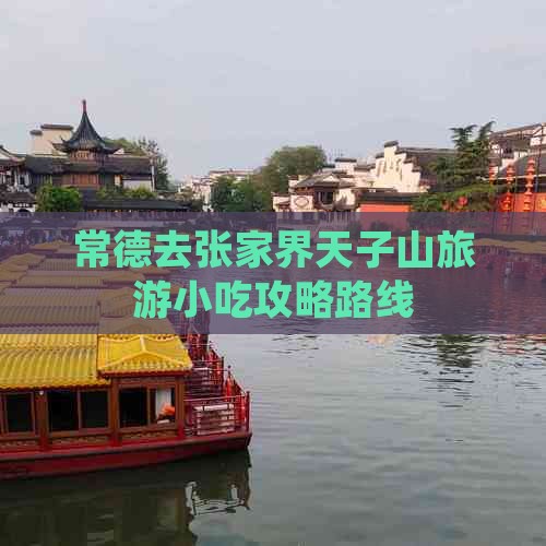 常德去张家界天子山旅游小吃