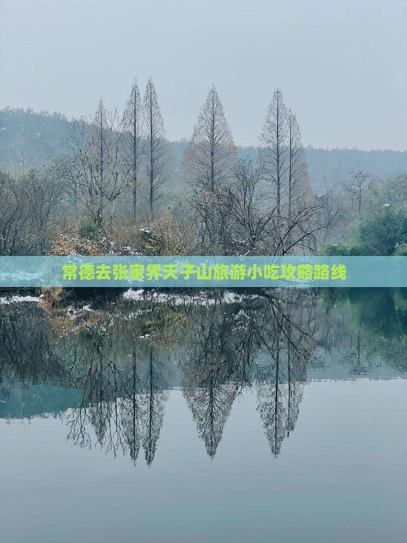 常德去张家界天子山旅游小吃