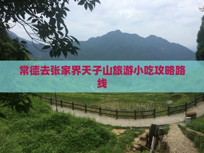 常德去张家界天子山旅游小吃