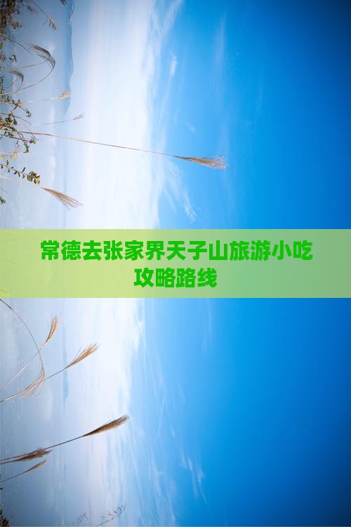 常德去张家界天子山旅游小吃