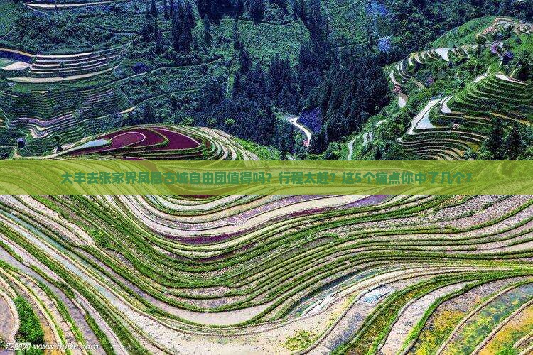 大丰去张家界凤凰古城自由团